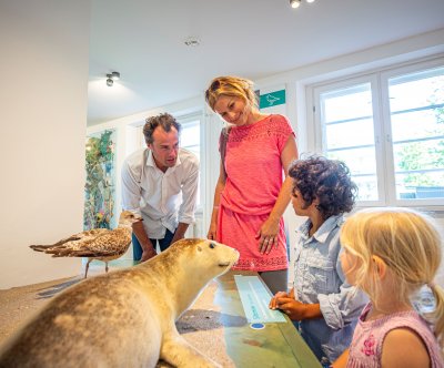 Nordfriesland Museum (Nissenhaus)