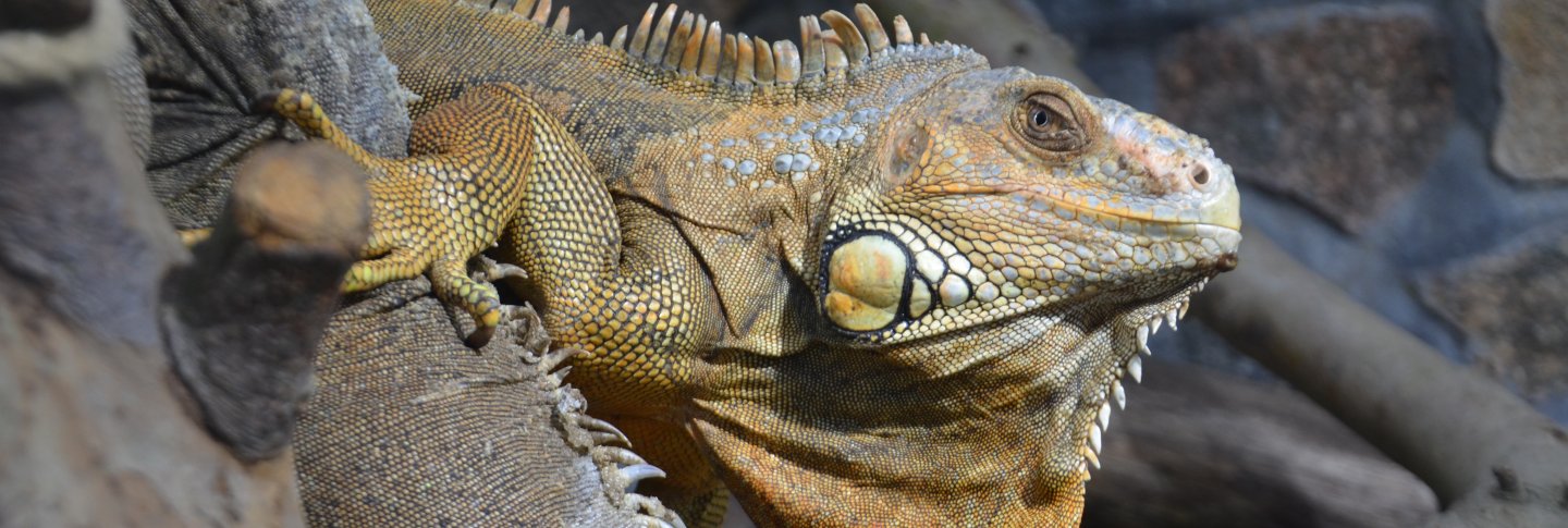 Tierpark Gettorf